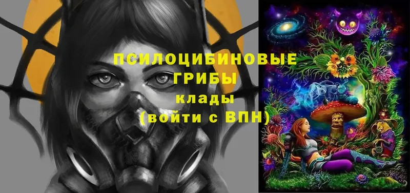 где продают   Майкоп  Галлюциногенные грибы Magic Shrooms 